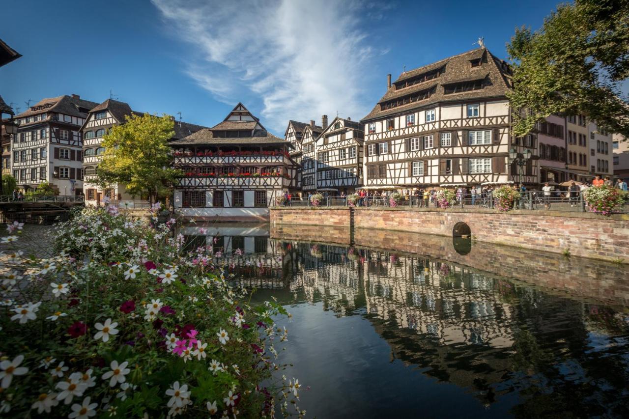 Gite Terre D'Helene 4 A 5 Pers Proche Strasbourg 42 M2, 3 Etoiles, Wifi, Paisible, Jardin, Proche Commerces,16 Atouts, Animaux Acceptes Berstett Ngoại thất bức ảnh
