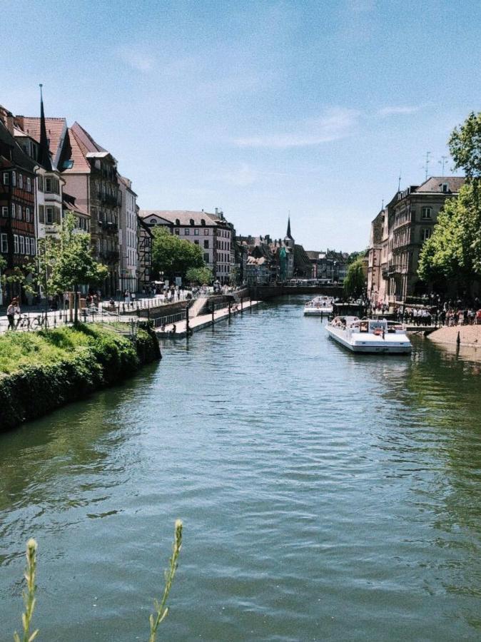 Gite Terre D'Helene 4 A 5 Pers Proche Strasbourg 42 M2, 3 Etoiles, Wifi, Paisible, Jardin, Proche Commerces,16 Atouts, Animaux Acceptes Berstett Ngoại thất bức ảnh