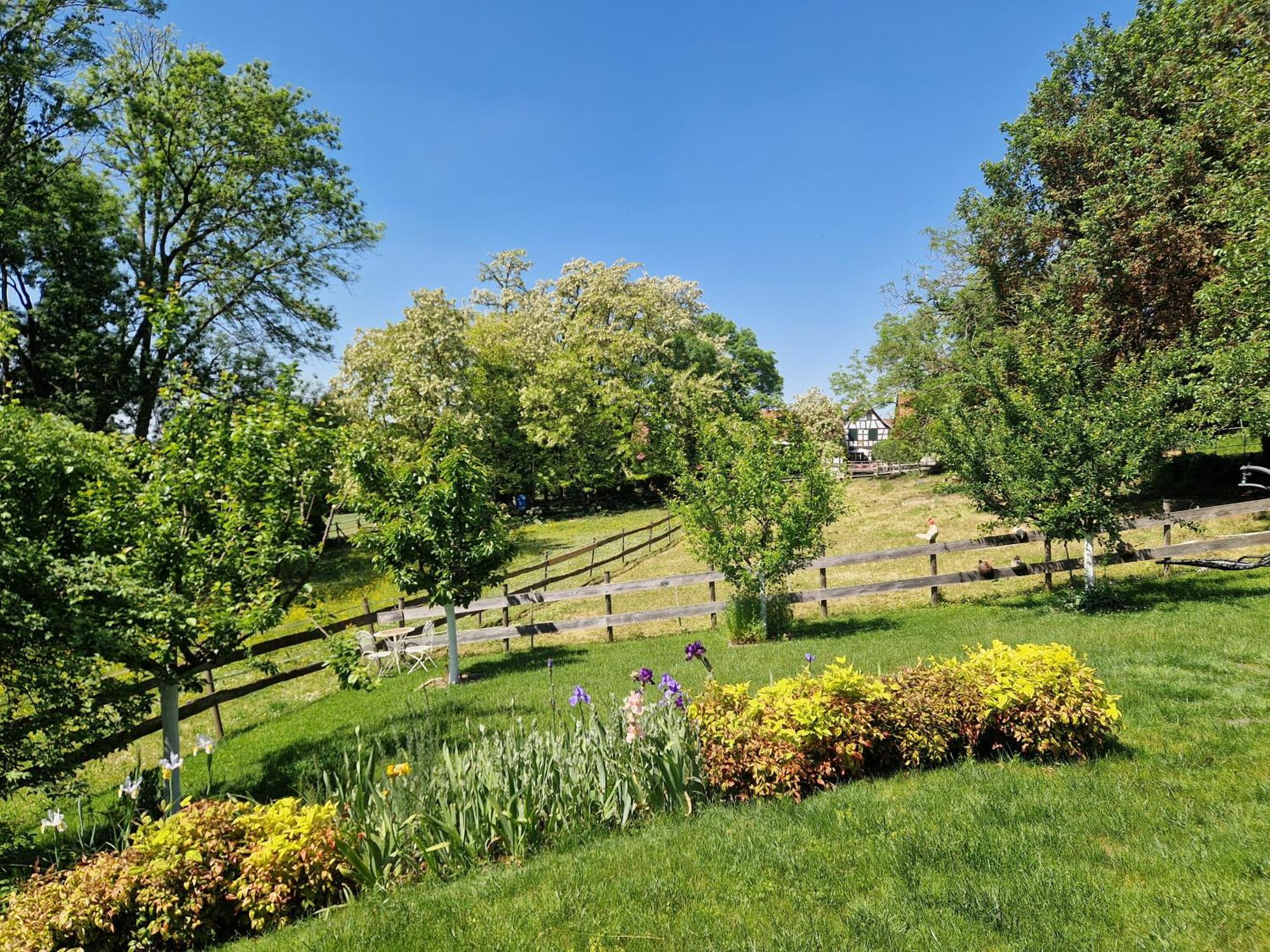 Gite Terre D'Helene 4 A 5 Pers Proche Strasbourg 42 M2, 3 Etoiles, Wifi, Paisible, Jardin, Proche Commerces,16 Atouts, Animaux Acceptes Berstett Ngoại thất bức ảnh